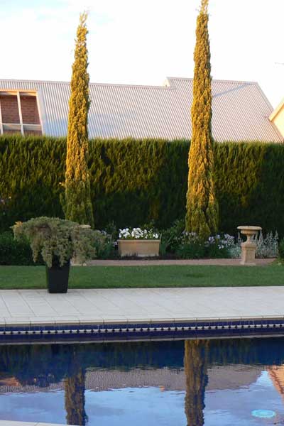 Pool Garden